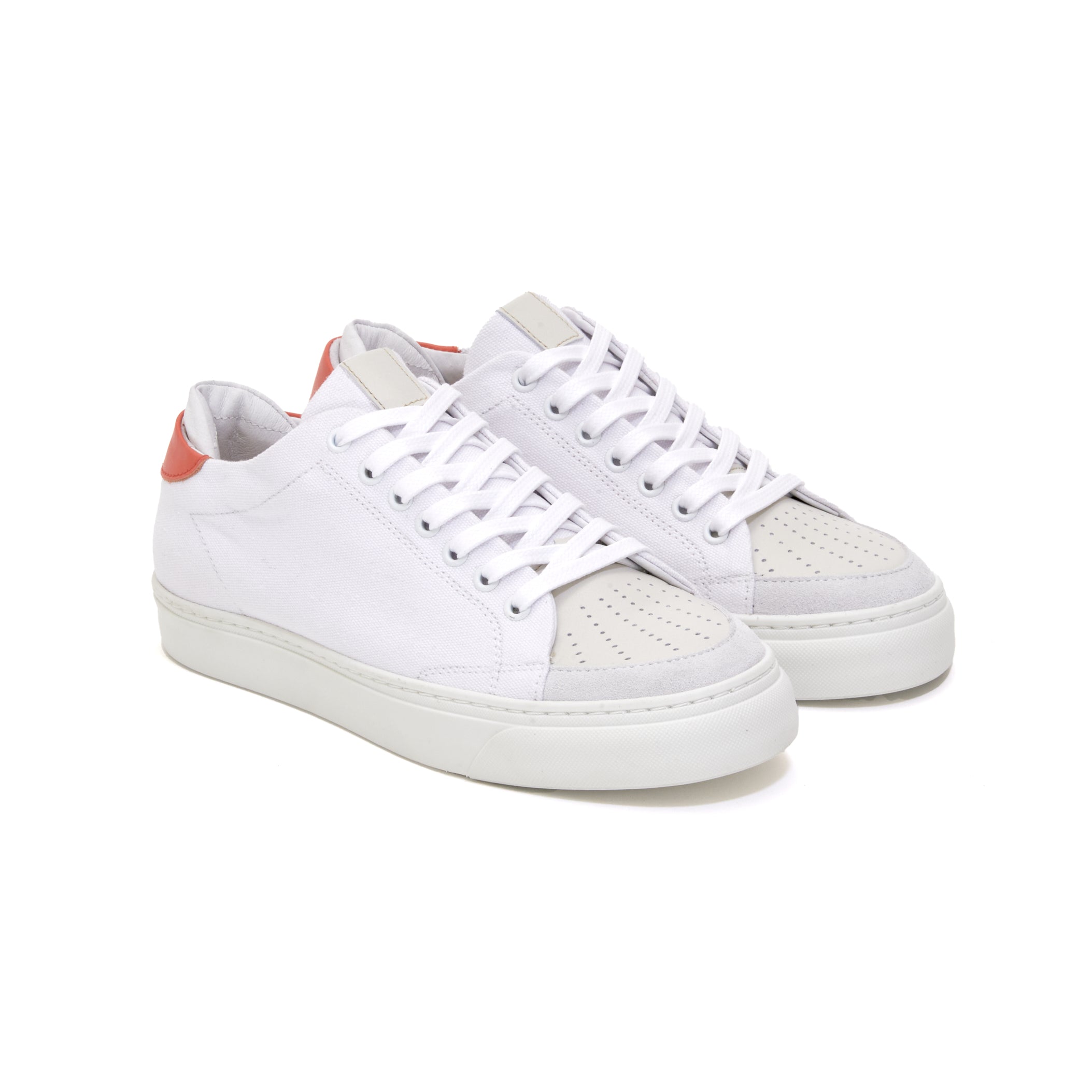 OMNI CVS White Tangerine